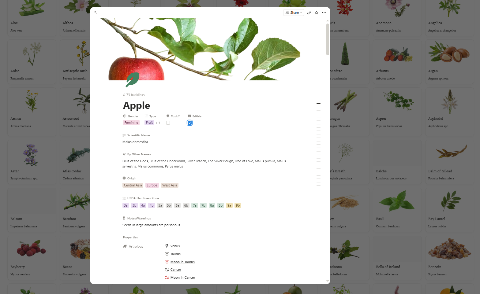 Apple entry: image, correspondences, and cross-linked properties